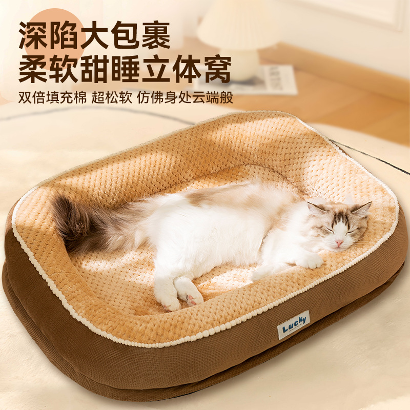 Otoño e invierno, gato, engrosamiento, cálido, dulce sueño, canino, canino, canino, canino, sueño profundo