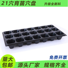 21Ѩ����Ѩ�P���l����P�߲����������ϻ��������������������