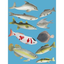 鱼模型假鲤鱼鲫鱼玩具中华鲟装饰道具海鱼大号小金鱼挂件客厅