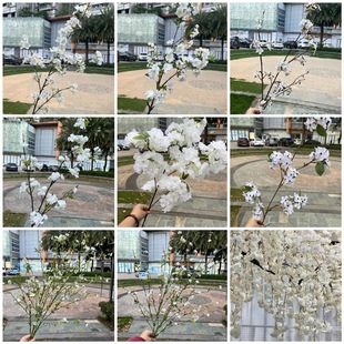 �¿��ɫ����ѻ� �滨���Ļ�ѩ�� ����ܛ�b��Y�bٻ����l