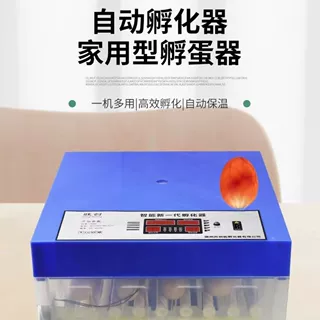 小鹅家用孵化器全自动型家用型智能控温鸡鸭鹌鹑鹦鹉鸟蛋恒温孵蛋