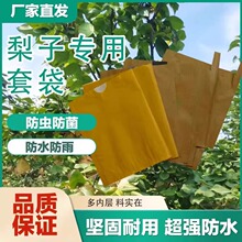 100只装桃子套袋袋水果套袋防鸟防虫必备水蜜桃扬桃黄桃网袋纸袋