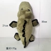 Hemmed chubby crocodile