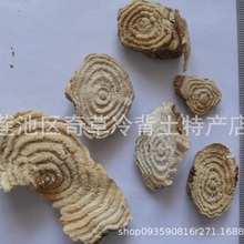 商陆,商陆根,土冬瓜,金七娘,中药材商陆