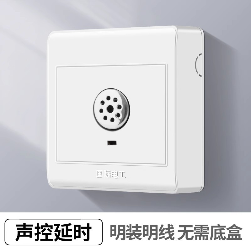 Sound and light control delay switch