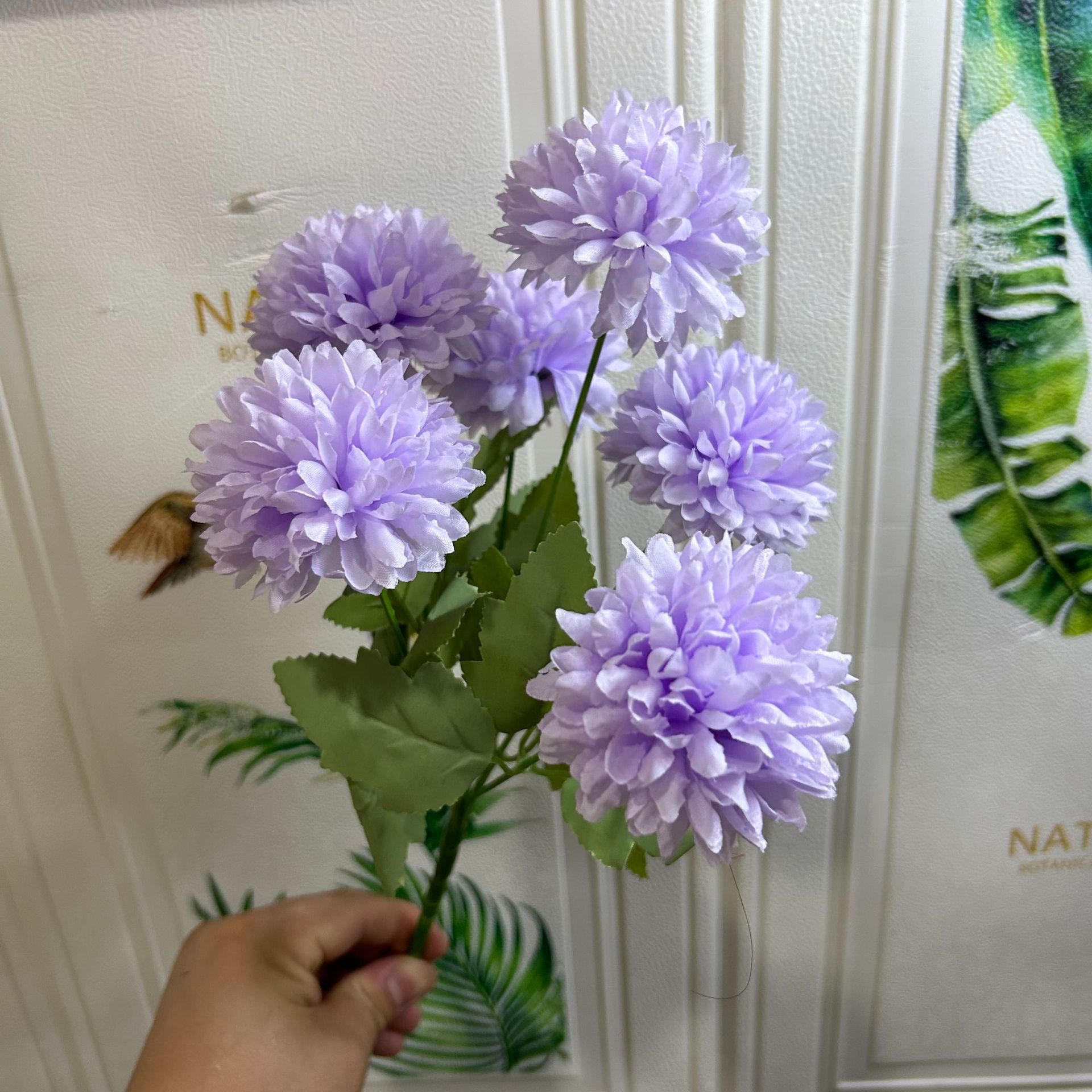 연한 보라색