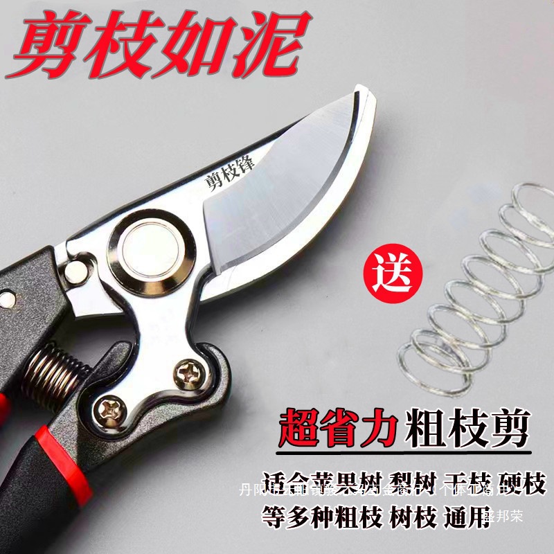 葡萄园林修剪修剪树枝剪刀园艺果树修枝剪刀钢日本进口修枝剪