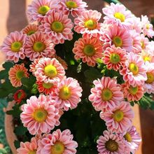 �ļ����rֱ�l�����՚���m�ջ������̨��Ʒ�ᭇС�r���҃ȈFُ