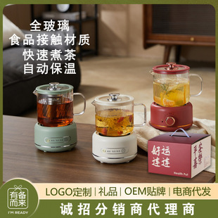 Stew Thermostatic Kettle Health Kettle Multi-Functional Office Glass Small Teapot German Fully Automatic Water Boiling All-In-One