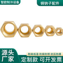 ����C�Mܛ���~���^���{�~��ĸ��Ҏ��������|�~�c�ӈA��ĸ��ñ