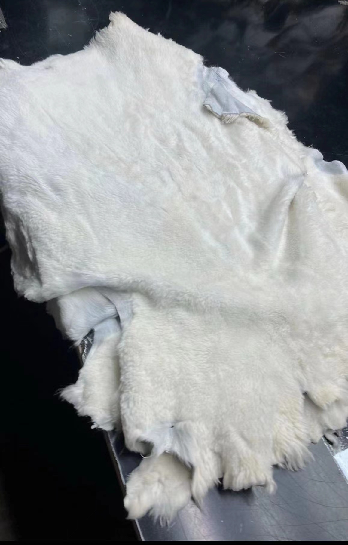 微信图片_20240623214206