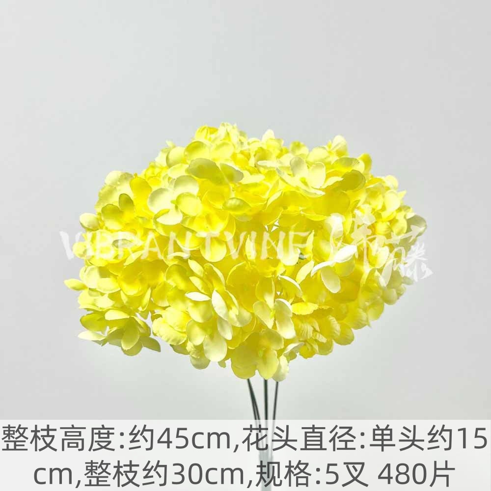 Yellow irish bunch of hydrangeas