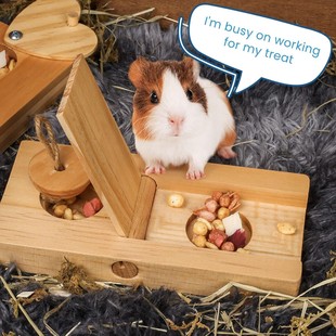 ľ�|�}��ιʳ���������ӑ���ιʳ��С����Ғʳ��ߌ�����ʳ�����