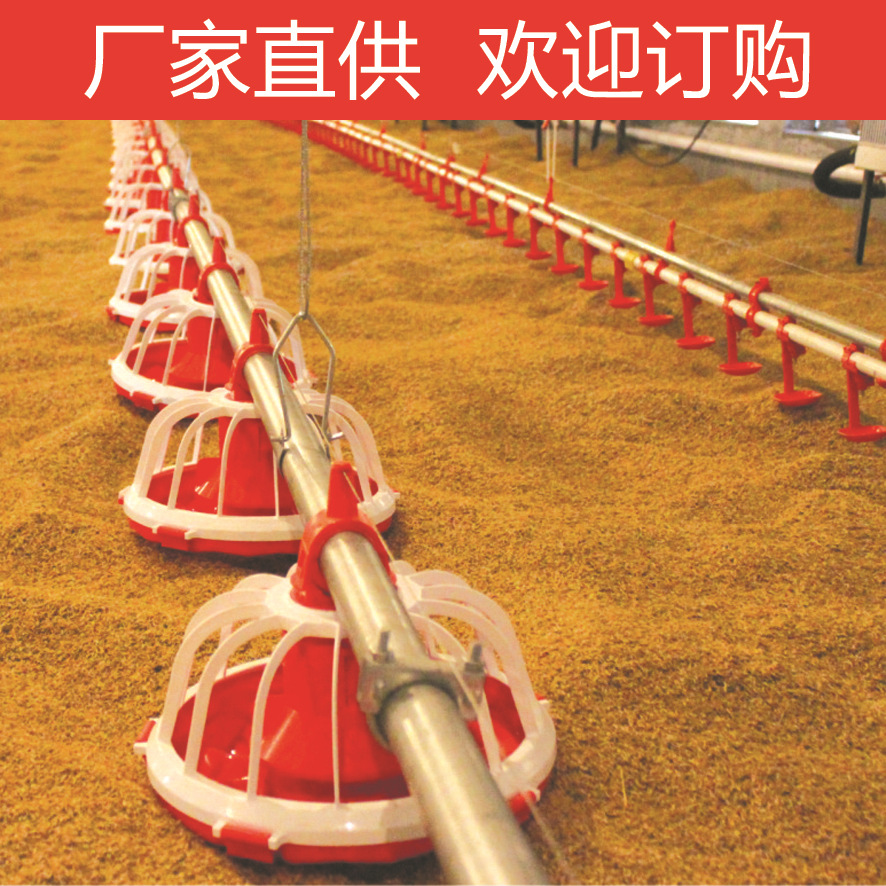肉鸡料线盘式线鸡用喂料系统商品鸡料线料盘自动供料设备厂家直供