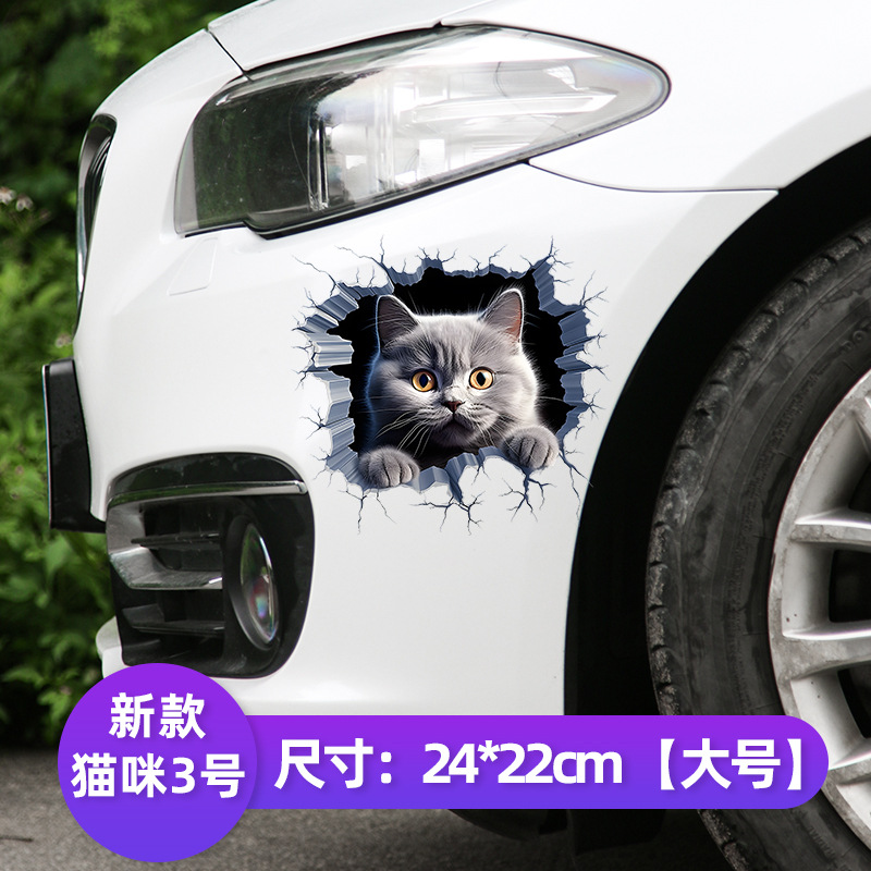 뉴캣 3호 [24cm] 3D 하이트루