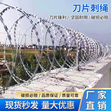刀片刺绳不锈钢滚笼防护网防锈刺网带刺铁丝防盗防爬刺围墙防爬网