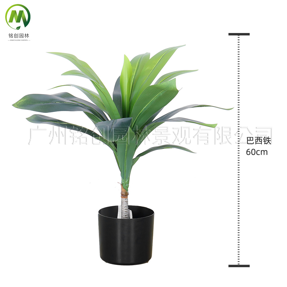 Paisaje interior del suelo, planta pequeña de hoja grande, planta pequeña, planta de taro de hadas, 60cm, planta verde de simulación de monstera, planta pequeña en maceta image 9