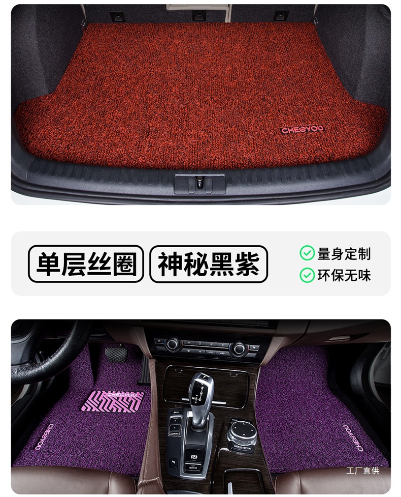 Car Floor Mat for the Driver's Seat, Single Piece Mat for the Driver's Seat, Single Wire Loop for the Passenger's Seat, Special Mat for the Passenger's Seat by Zhepei Hui