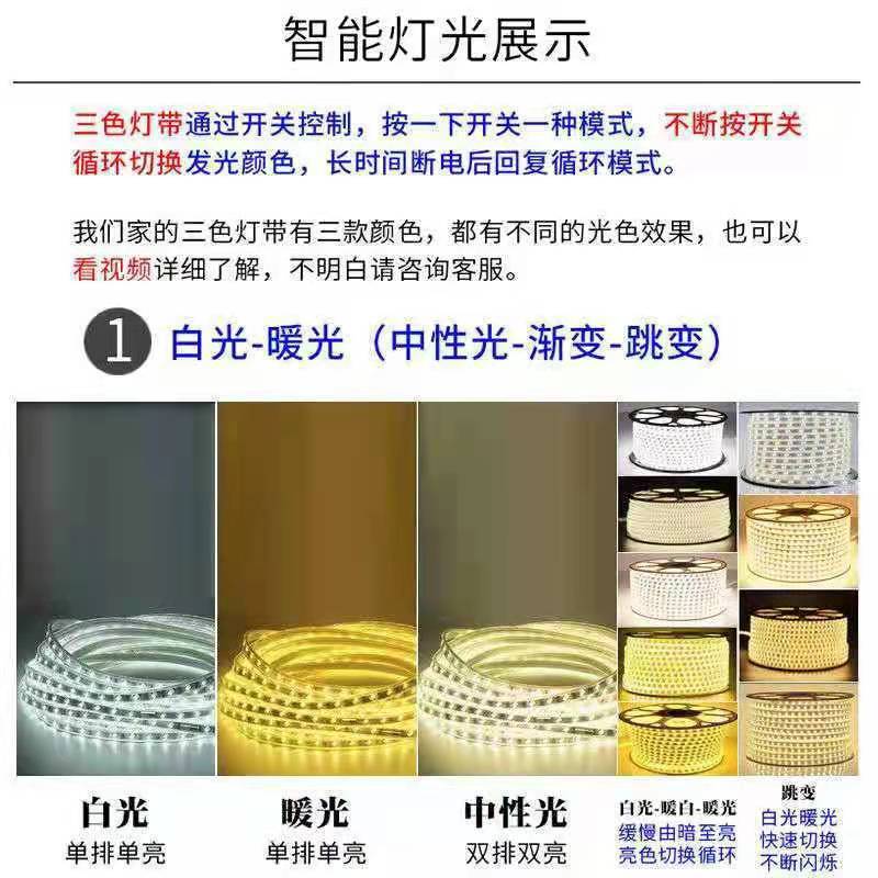 220v de alta presión 2835 flexible tres colores suaves 5050rgb cinturón de luz led de neón al por mayor al aire libre resistente al agua 5730 tira de luz