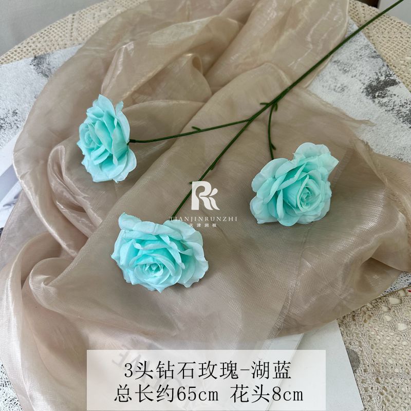 일반 다이아몬드 로즈 티파니 블루