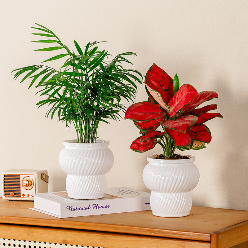 美軒怠け者の植木鉢は自動的に吸水します。|undefined