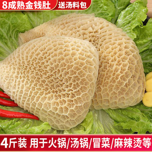 ���X��4���b���r���ţ���ţë����ţ�����l��C���u�˻��ʳ��