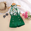 Set, summer children's clothing, jacket sleevless, children's clothing, wholesale