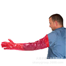 Ӻg˺50ֻbLDPEL۫F һ˹ھC