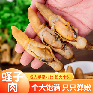 �|����oɳ��ζ�����|�Ӹɺ��|�����|���rˮ�a��؛