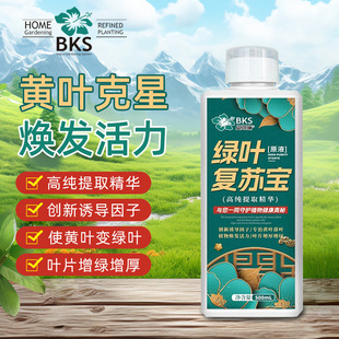 Beikeshi Green Leaf Revives Baohuang Leaf Nemesis to Promote Root Growth of Green Diophorus roseus Plant Universal Nutrient Solution