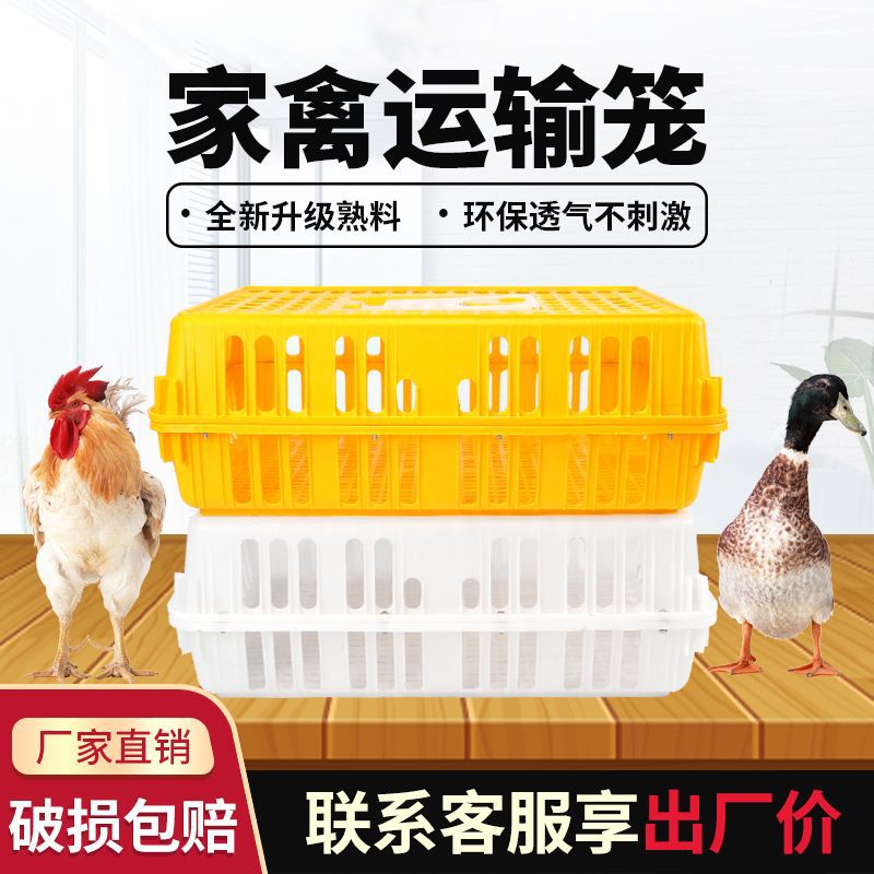 塑料鸡笼家禽运输周转箱家用大号加厚防摔养殖鸡鸭鹅兔笼厂家直销