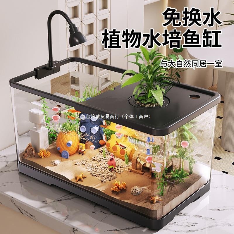 Fish Tank Household Ecological Aquarium Living Room with Cover Transparent Goldfish Breeding Tank Small Landscaping Desktop Tank New Set