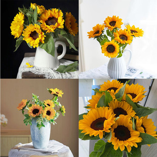 Sunflower Sun Flower Bouquet Yunnan Base Direct Delivery Home Living Room Flower Arrangement Gift Water Culture Wholesale Real Flowers