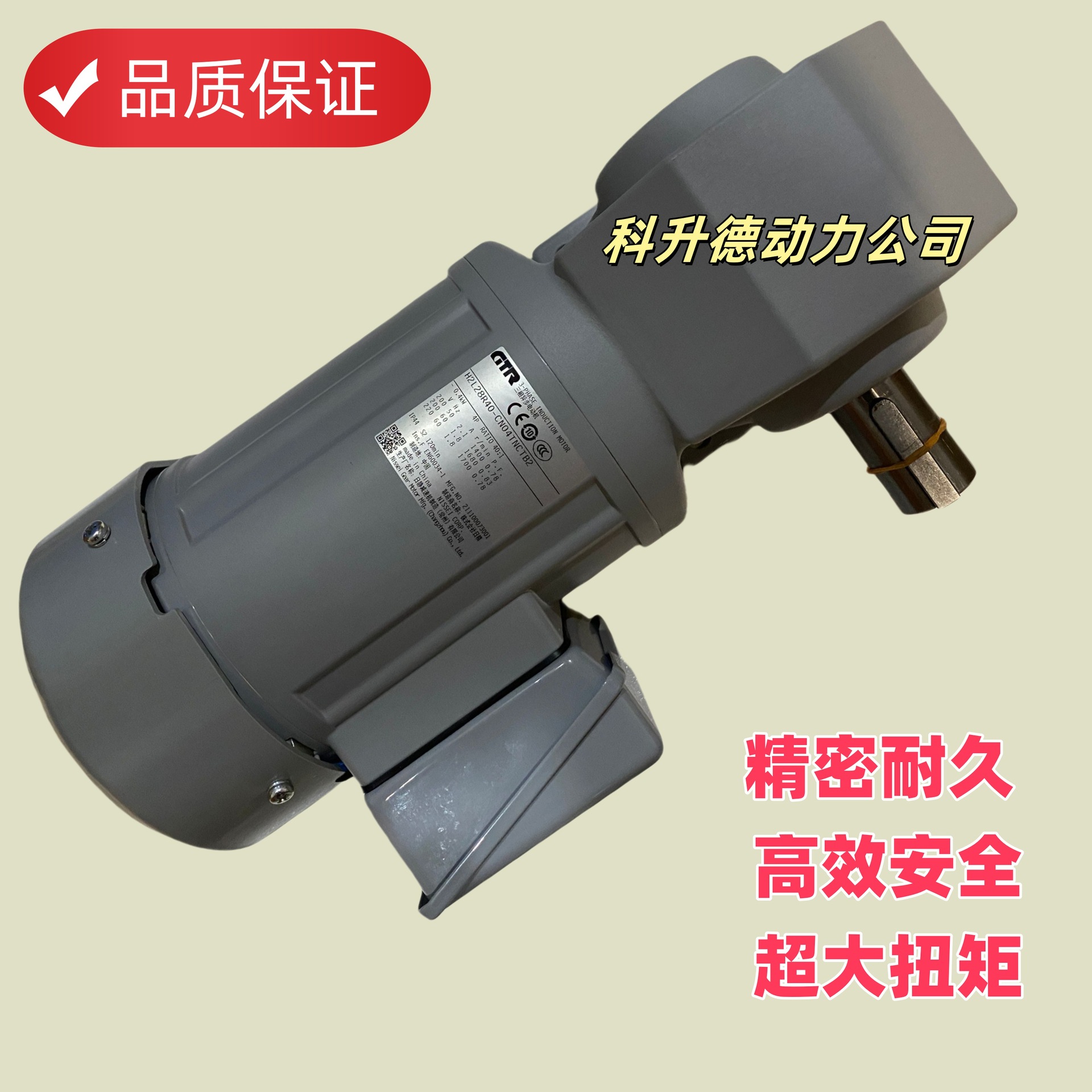 H2LB-32L-20-075X GTR日精电机NISSEI马达H2L32L20-CN08TNCTB2X40