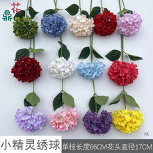 С���`���� ���潑�� ��@�L��c��̨���üٻ� �Ƶ�·���b���