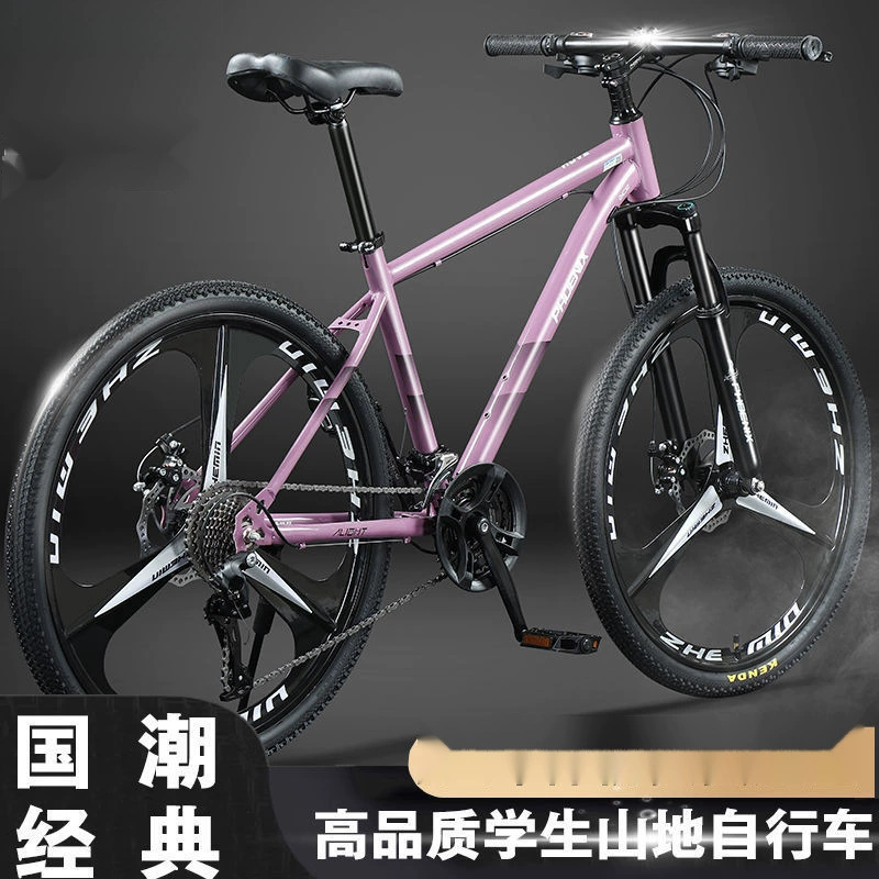 Phoenix, mountain road bike with brake system for elementary school students for adults, 24 inch, for teenagers