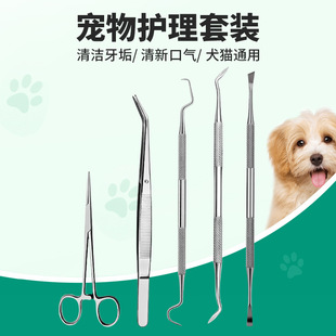 Manufacturer Stainless Steel Pet Tool Set, Calculus Remover, Tooth Dirt Cleaning Care Oral Tool