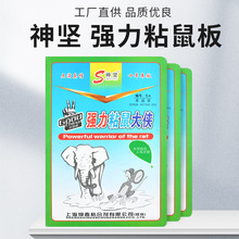 ����ճ�����ò��������ճ���������N�׽����\�A�z�S��