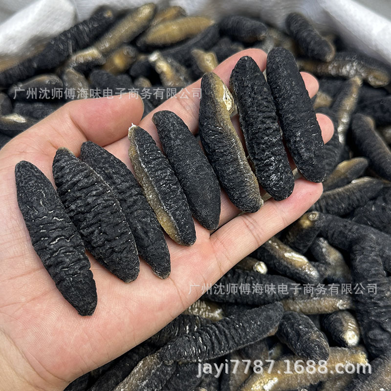 明秃参野生海参干货佛跳墙酒店酒楼商用水发一德路海味批发500g