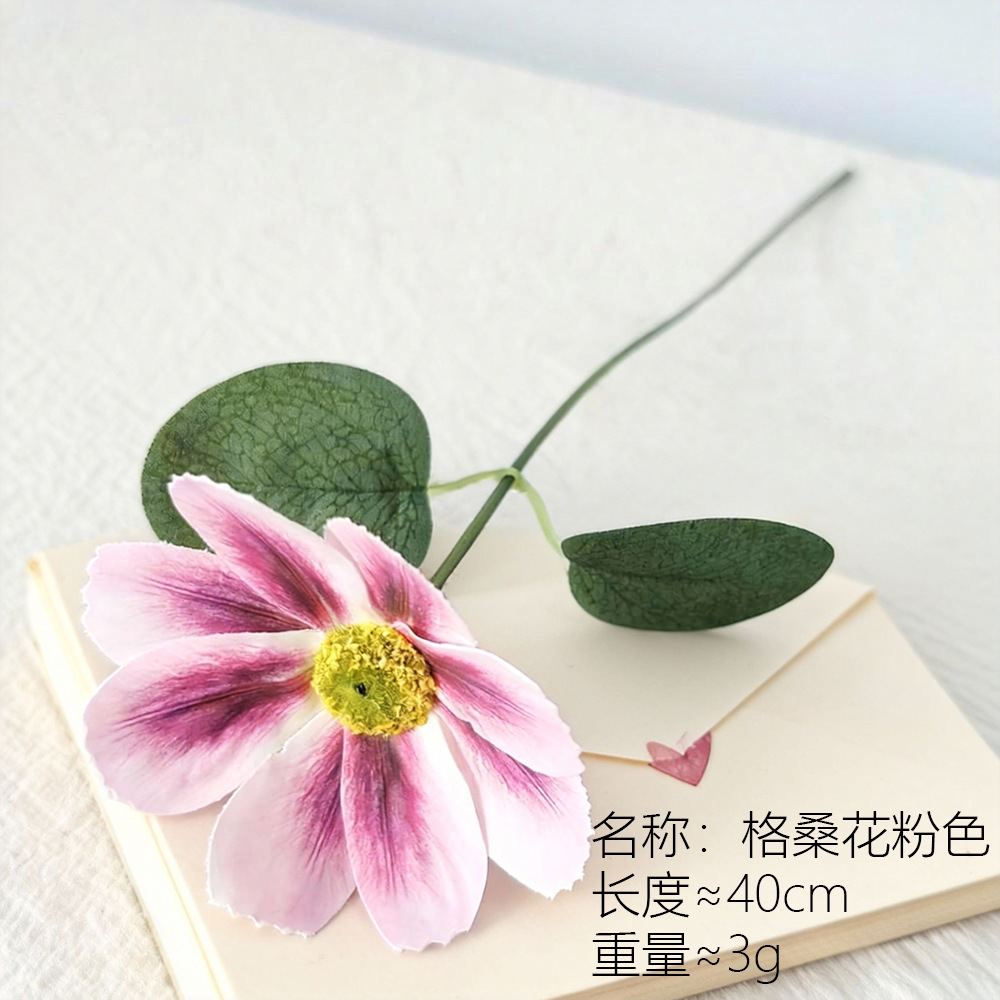 El color rosa de Gesang