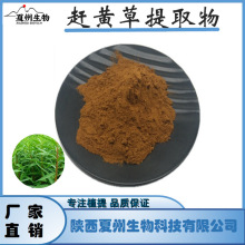 赶黄草提取物10/20/30:1 水泽兰、扯根菜提取粉 现货 量大从优