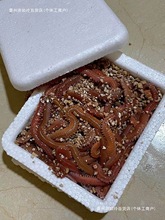 ����򼺣�����t�x����򼺣Λ󨺣ុ��D���~ʳ�|�~�D��·���D