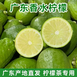 再加工茶;花果茶;乌龙茶