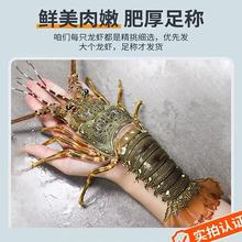 小青龙鲜活速冻小青龙新鲜生冻青龙虾大龙虾越南水产商用批发