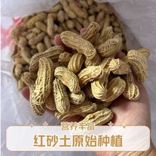 （热卖爆品）云南七彩咸干、湿烤限量试吃