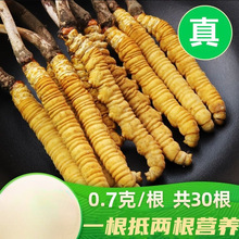 Ұ���x�����a���r��؛�����ຣ�����خa�ͶY