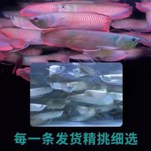 �߲���ؔ���~��Ꭷ��ˮ�^�p�~�д�С���Lˮ�~�t�������~