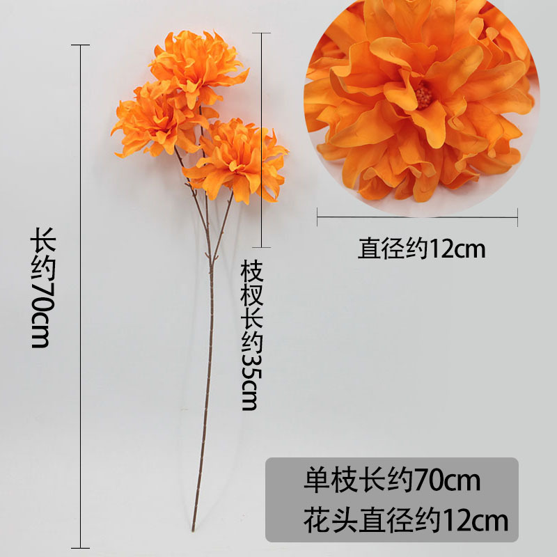 微信图片_20220610205457