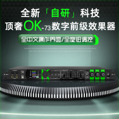 プロの前段効果器デジタル残響家庭用舞台演出bluetoothイコライザのハウリングオーディオプロセッサー