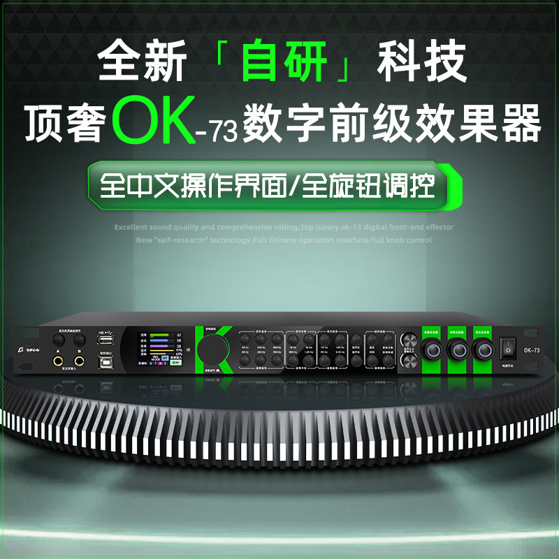 Professional Preamp Effector Digital Reverb Home Stage Performance Bluetooth Equalizer Anti-sharling Audio Processor